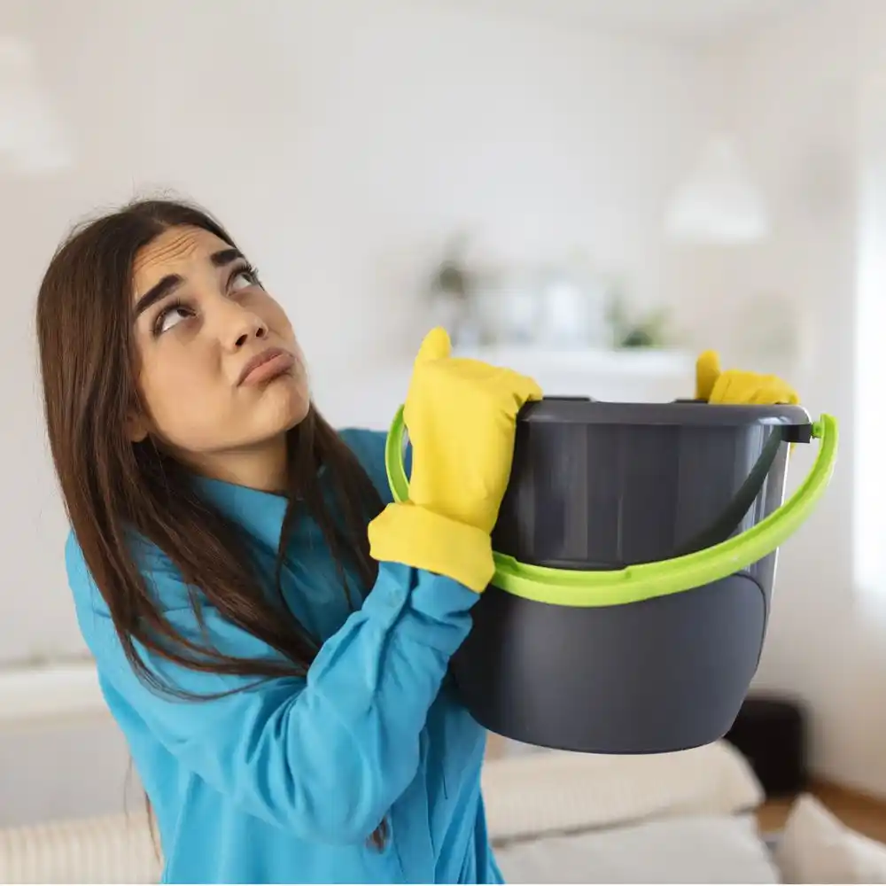 water damage restoration service Algonac